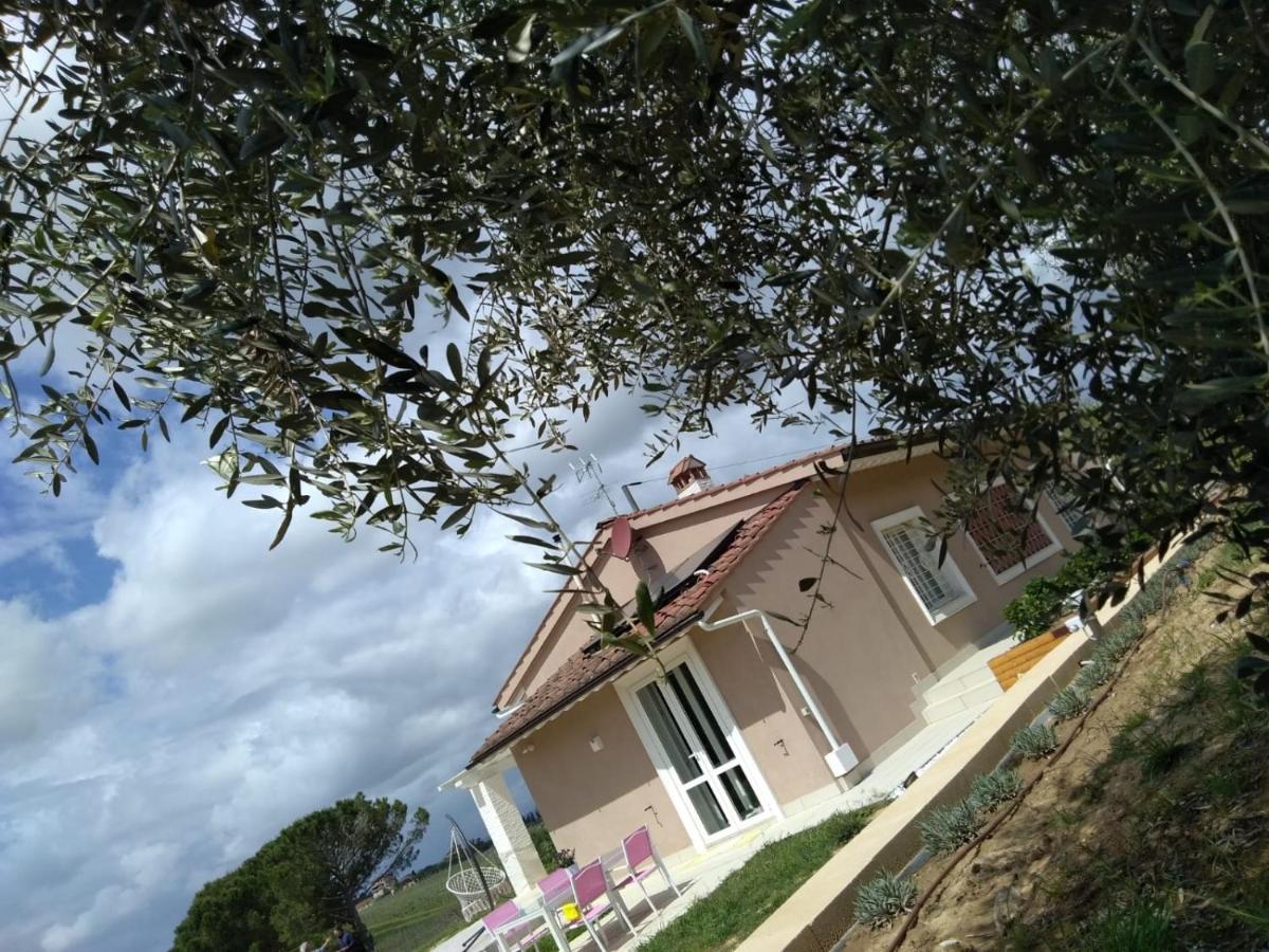 Bed and Breakfast Le Mammole Сан-Миниато Экстерьер фото